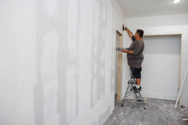 Mold Odor Removal Services in Red Hill, PA