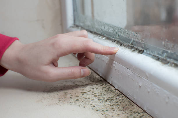Dehumidification Services in Red Hill, PA