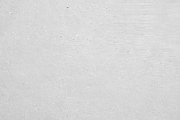 Environmental Consulting for Mold Prevention in Red Hill, PA