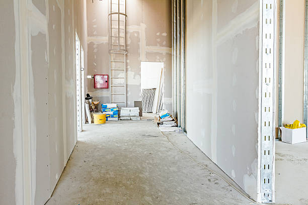 Best Black Mold Removal  in Red Hill, PA